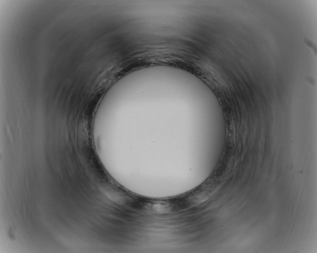 X0000097830506200803140831