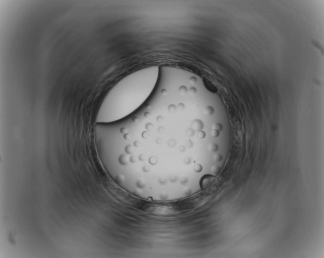 X0000097830507200803140831