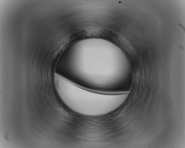 X0000097830508200803140831