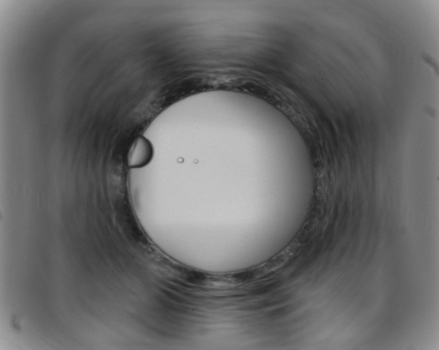 X0000097830510200803140831