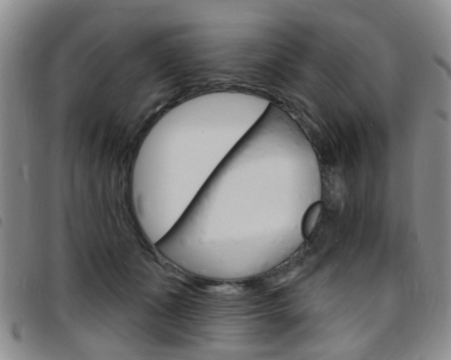 X0000097830511200803140831