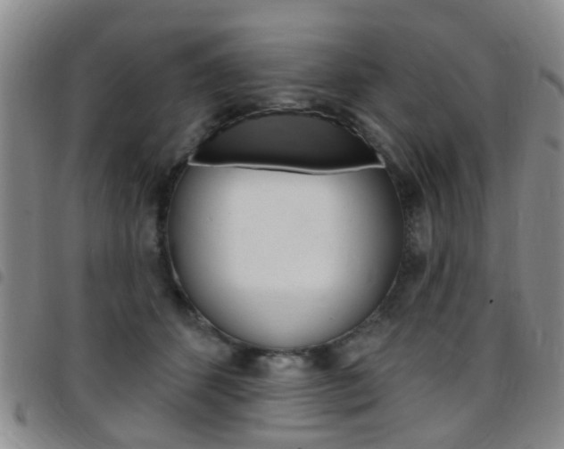 X0000097830512200803140831