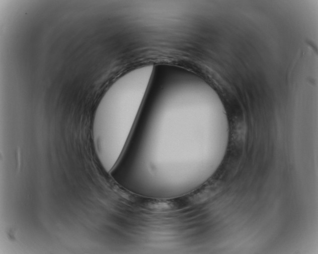X0000097830513200803140831