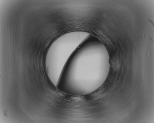 X0000097830516200803140831