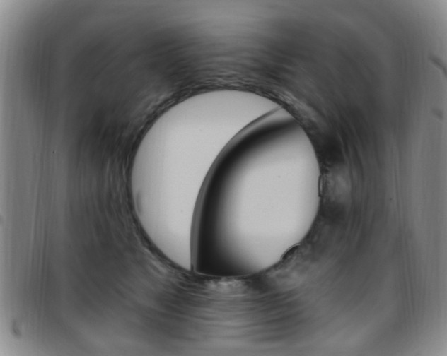 X0000097830517200803140830