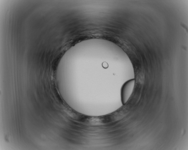 X0000097830518200803140830