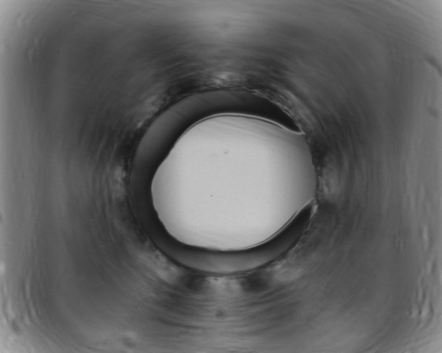 X0000097830520200803140830
