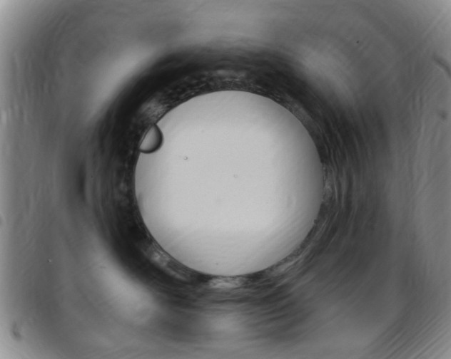 X0000097830526200803140830