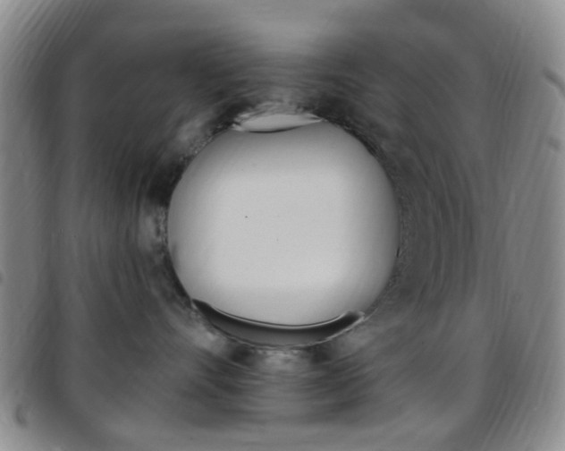 X0000097830528200803140830