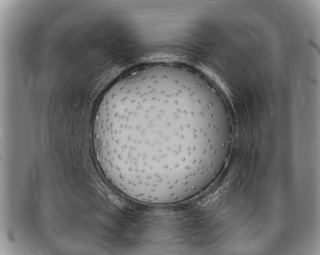 X0000097830529200803140830