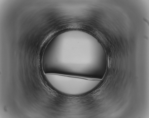 X0000097830531200803140830