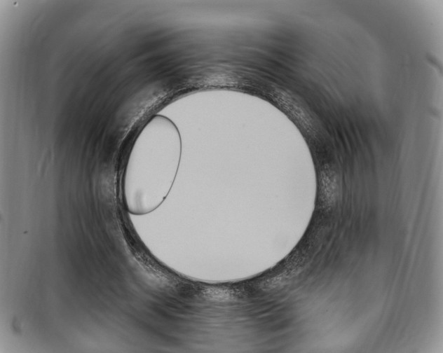 X0000097830534200803140830