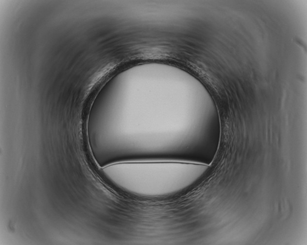 X0000097830535200803140830