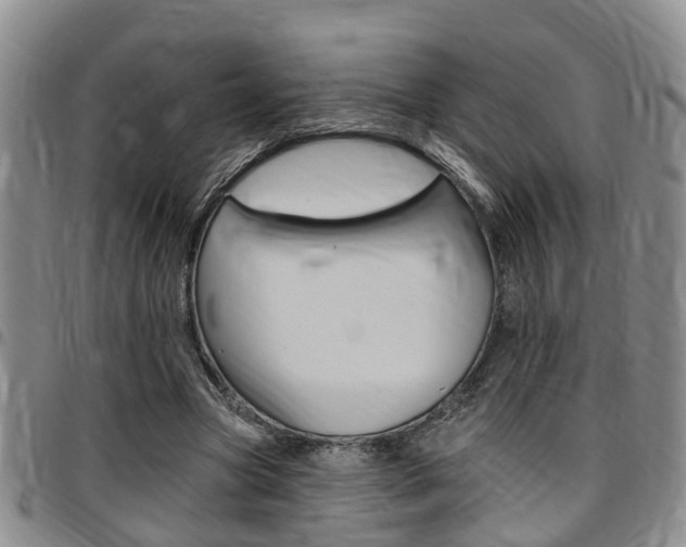 X0000097830537200803140830