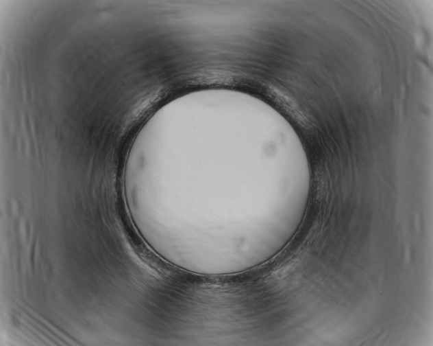 X0000097830538200803140830