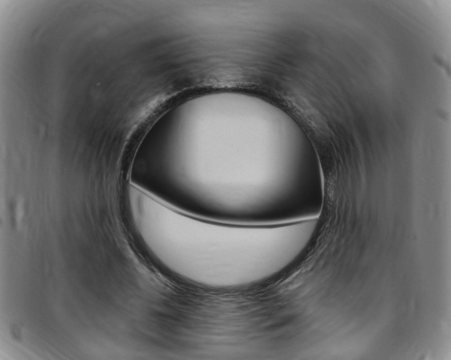 X0000097830540200803140830