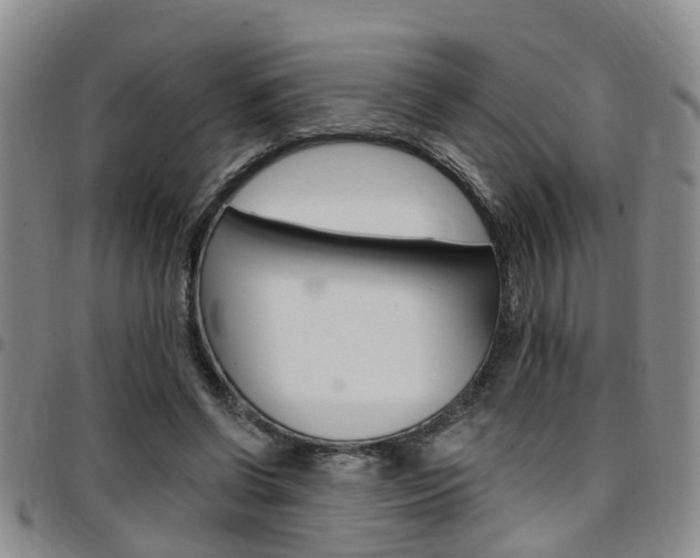 X0000097830542200803140830