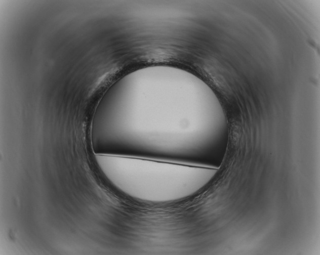 X0000097830543200803140830
