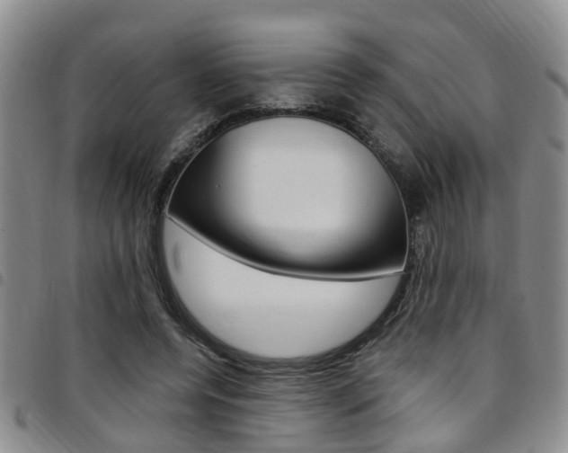 X0000097830544200803140830