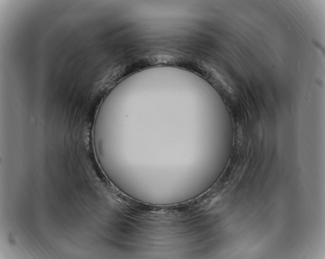 X0000097830545200803140830