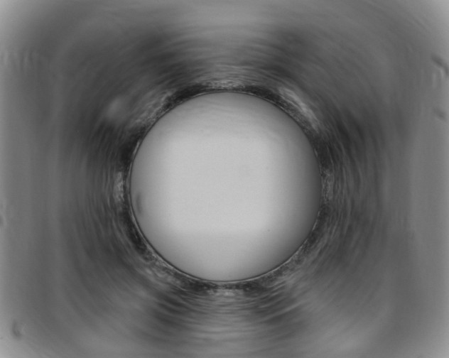 X0000097830549200803140830