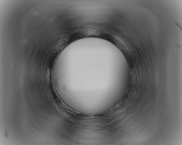 X0000097830550200803140830