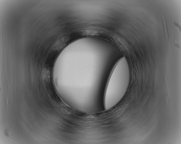 X0000097830551200803140830