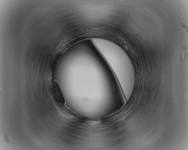 X0000097830552200803140830