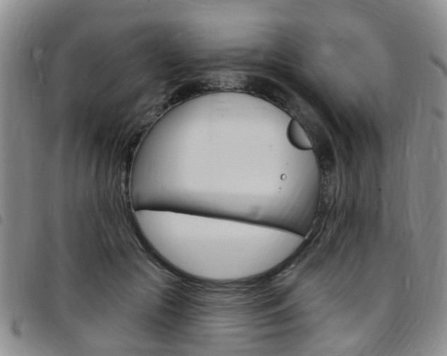 X0000097830553200803140830