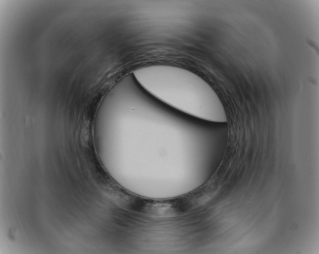 X0000097830554200803140830