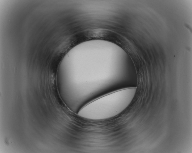 X0000097830555200803140830