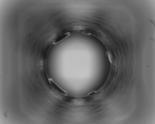 X0000097830556200803140830
