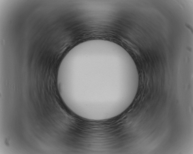 X0000097830560200803140830
