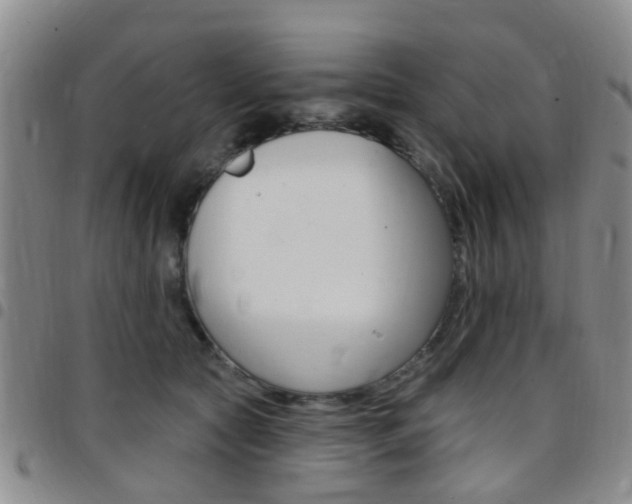 X0000097830561200803140830