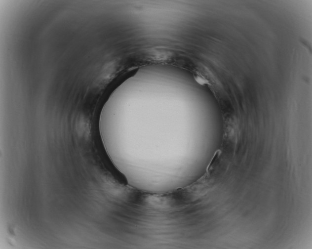 X0000097830568200803140830