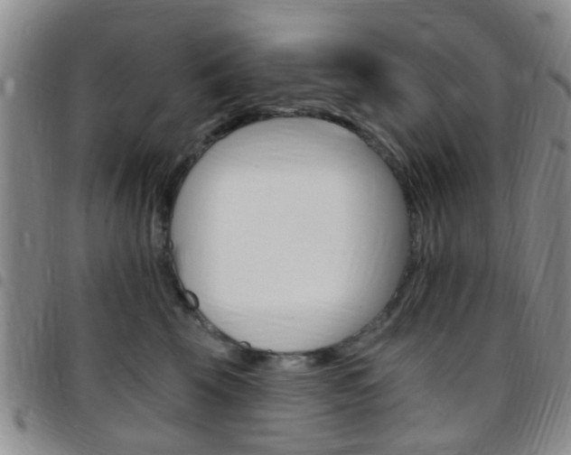 X0000097830569200803140830