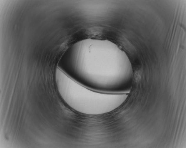 X0000097830570200803140830