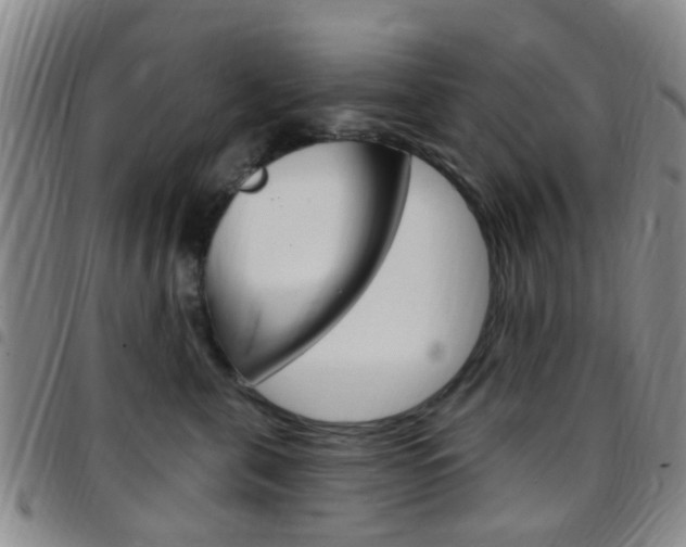 X0000097830571200803140830
