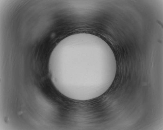 X0000097830572200803140830
