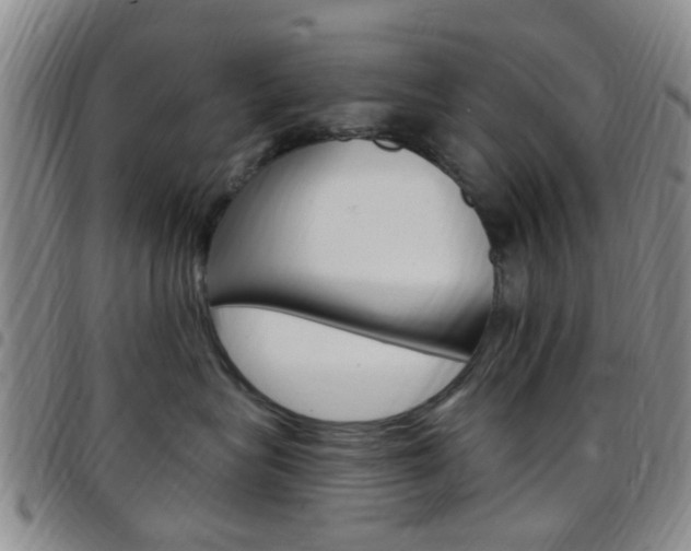 X0000097830575200803140830