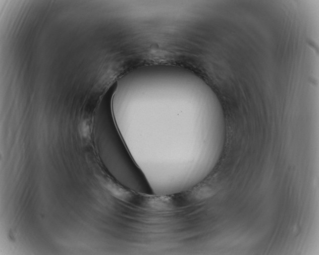 X0000097830576200803140830