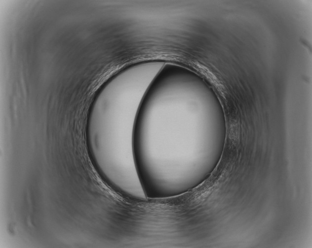X0000097830577200803140830