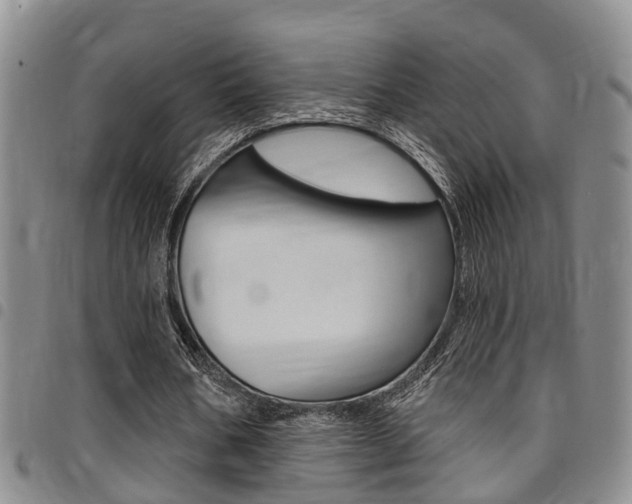 X0000097830578200803140830