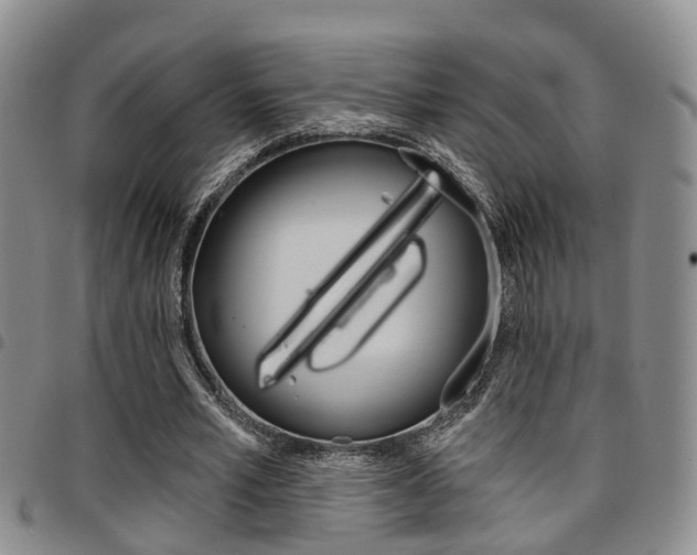 X0000097830581200803140830