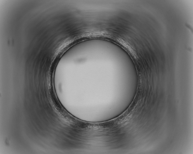 X0000097830582200803140830