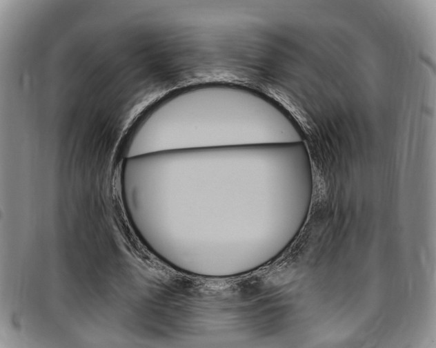 X0000097830583200803140830