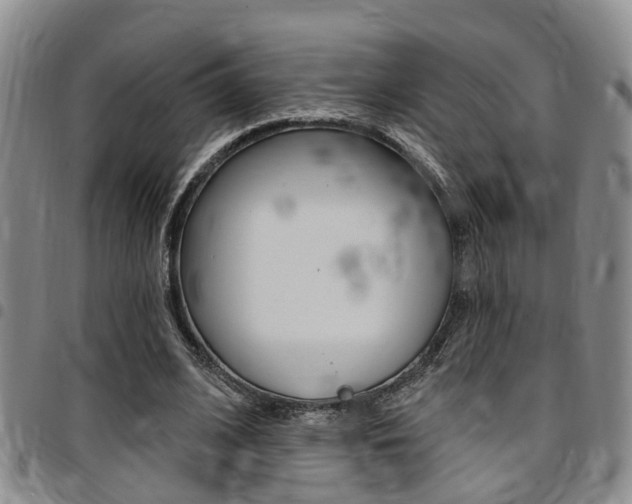 X0000097830584200803140830