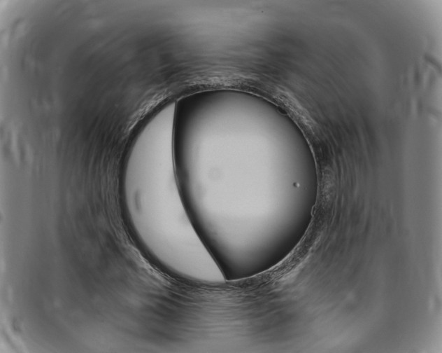 X0000097830585200803140830