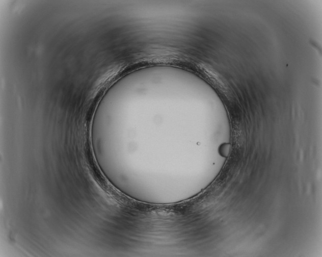 X0000097830586200803140830