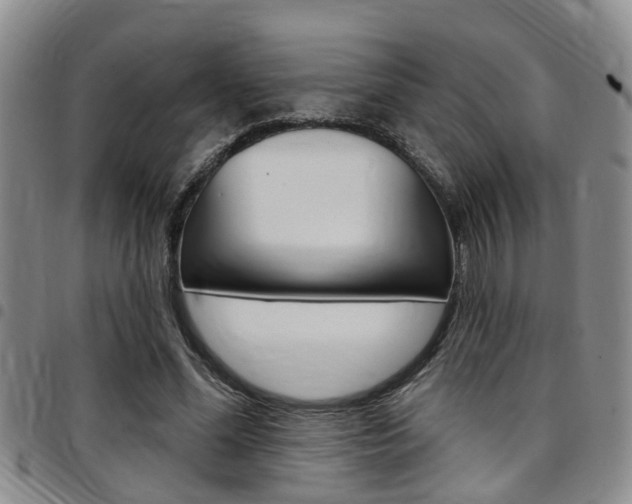 X0000097830588200803140830